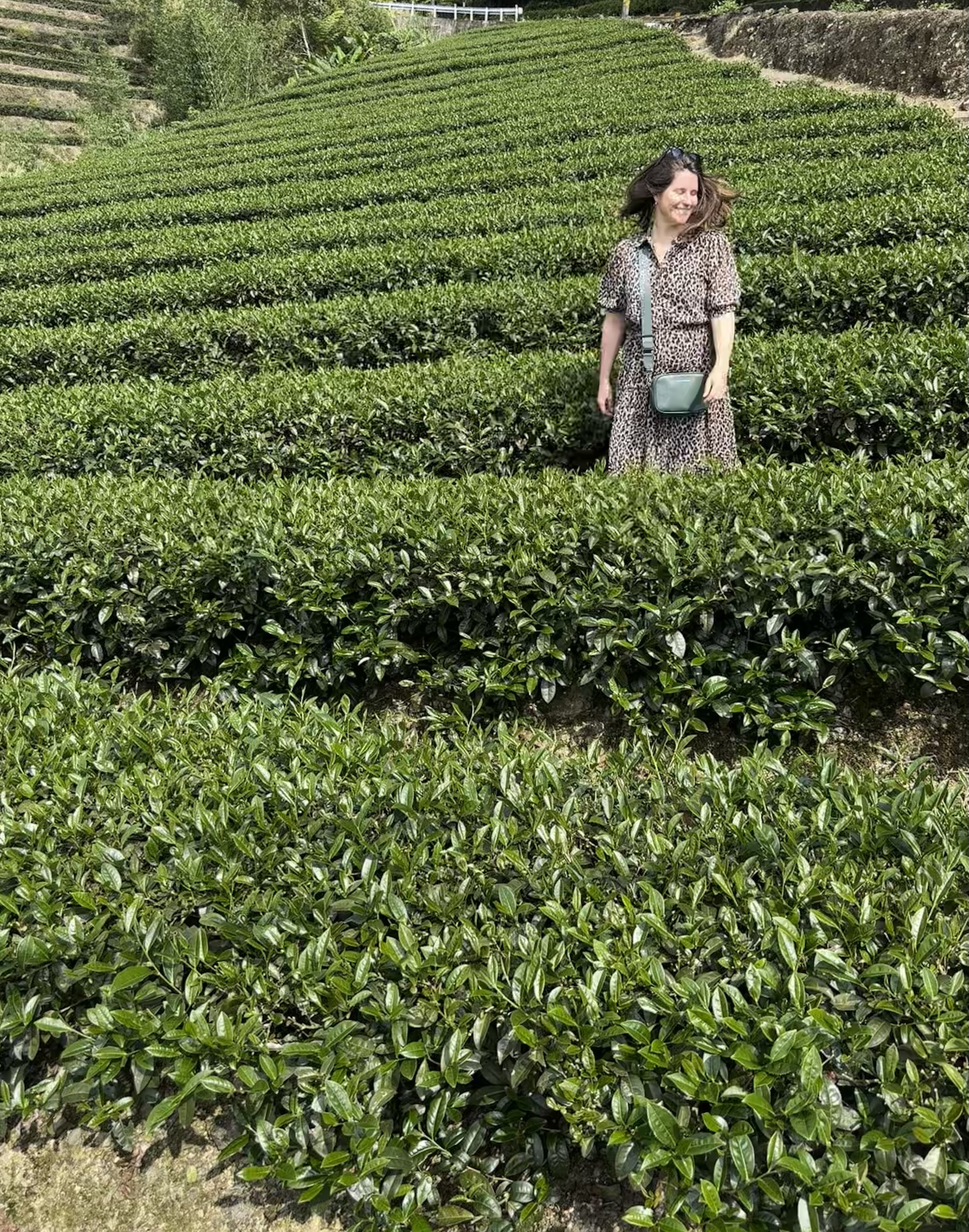 Kirsty Dunphey smiling in a terraced green tea plantation